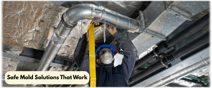 Air Duct Mold Removal in Queens NY