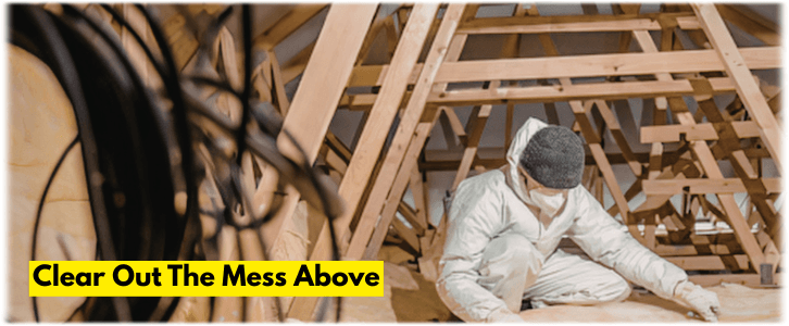 Attic Cleaning Queens NY