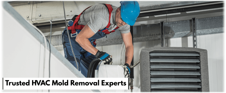 HVAC Mold Removal Queens NY